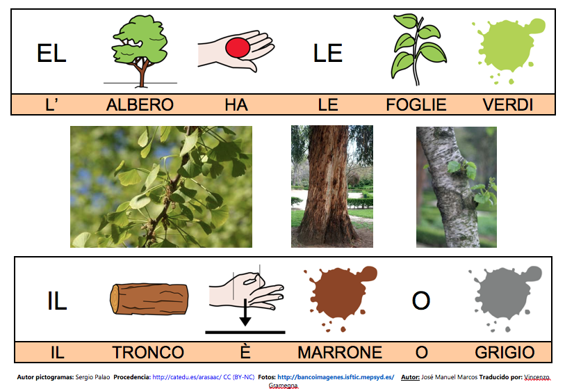 MAPPA SEMANTICA E LIBRO DI COMUNICAZIONE SULL'ALBERO.